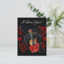 Search for doxy postcards Wiener dogs