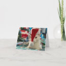Search for purrfect christmas cards Kitten