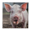 Search for pig tiles Sow