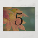 Search for tree wedding table number postcards Leaves
