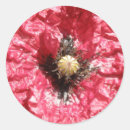 Search for macro flower stickers Pretty