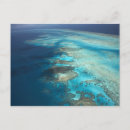 Search for dive site Coral reef