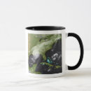 Search for katrina mugs Photography