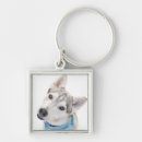Search for siberian husky key rings Alaskan malamute