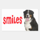 Search for bernese mountain dog stickers Puppy