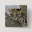 Search for captivating badges Usa