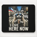 Search for funny raccoon mouse mats Surprise