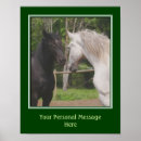 Search for black and white horse art Cute
