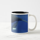 Search for vertebrate mugs Nature