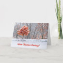 Search for nature christmas cards Snow scene
