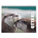 Search for otter calendars Animal