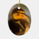 Search for duckling christmas tree decorations Ducks