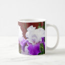 Search for bearded iris mugs White