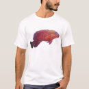Search for grouper tshirts Saltwater