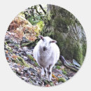 Search for cute ewe stickers Farms