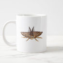 Search for moths mugs Butterflies