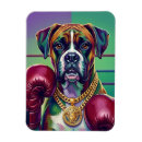 Search for boxer pop Portrait