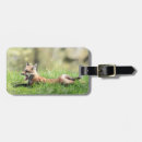 Search for adirondacks accessories Nature