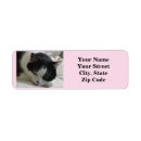Search for cute kitty return address labels Black and white cat