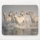 Search for horses galloping mouse mats Wild horse