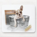 Search for bathing mouse mats Dog