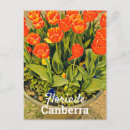 Search for flower festival postcards Tulips