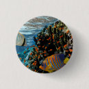 Search for reefs badges Fish