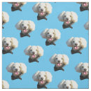 Search for photo fabric Cute