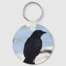 Search for beak round key rings Nature