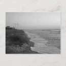 Search for white headed postcards Ocean