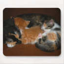 Search for kitty cat mouse mats Pattern