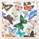 Search for tropical butterfly coasters Pattern