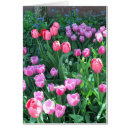 Search for springtime flower Garden