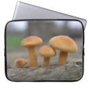 Search for macro electronics Outdoors