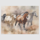 Search for western frontier Wild west