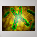Search for digitally generated image posters Dna