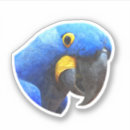 Search for blue bird illustration stickers Animal