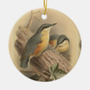 Search for ivy christmas tree decorations Nature