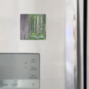 Search for oregon magnets Pacific northwest