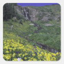 Search for alpine meadow stickers Colourful