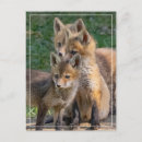 Search for triplets postcards Sister