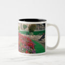 Search for frazier mugs Europe