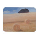 Search for bale magnets Field