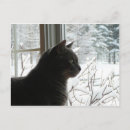 Search for chat postcards Window