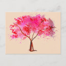 Search for cherry postcards Cherry blossom tree