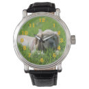 Search for cocker spaniel dog watches Cute