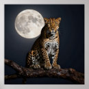 Search for full moon posters Ethereal