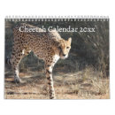 Search for cheetah calendars Big cat
