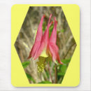 Search for columbine electronics Nature