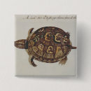 Search for boxing badges White